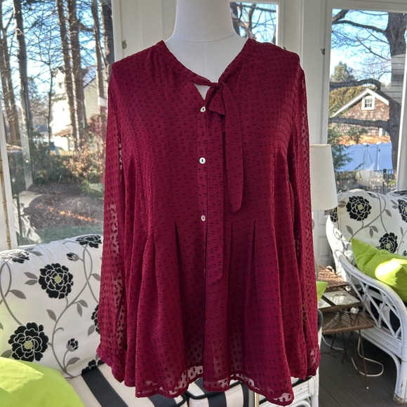 NWT: Anthropologie Meadow Rue Silk and Rayon Burgundy Lined Tie Collar and Butto - Picture 1 of 6